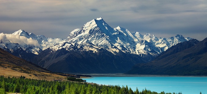 Moving To New Zealand